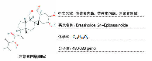 芸苔素内酯j9游会真人游戏第一品牌