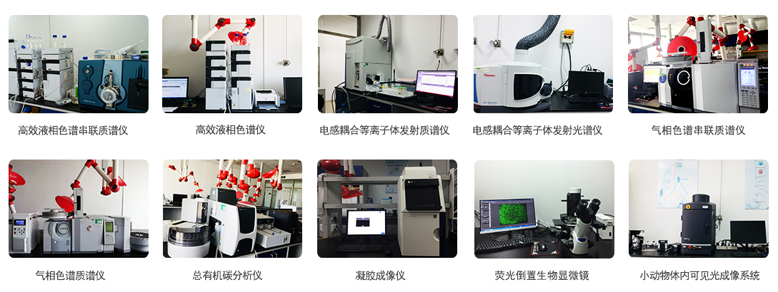 分子生物学实验技术服务