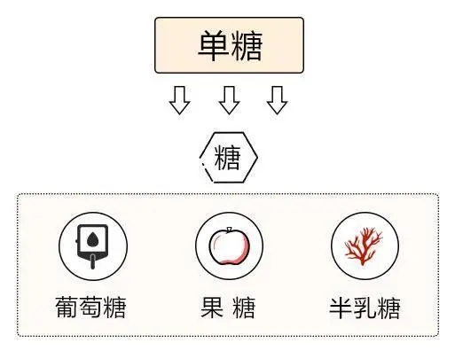 单糖j9游会真人游戏第一品牌