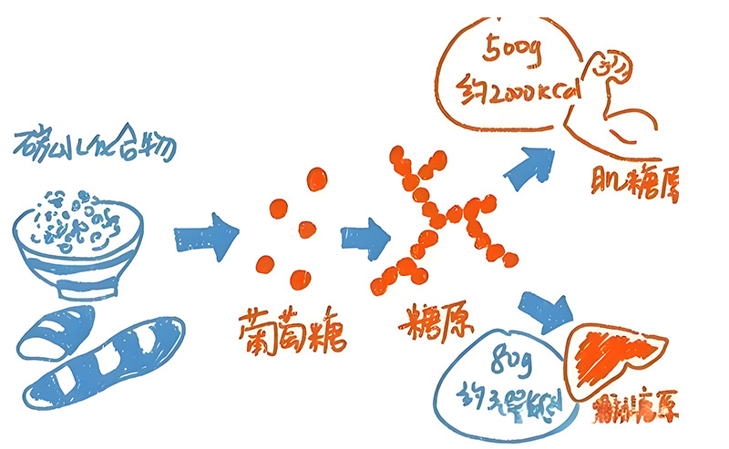 未标题-1.jpg